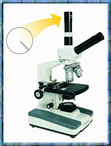 Premiere® Dual View Microscope MF-04